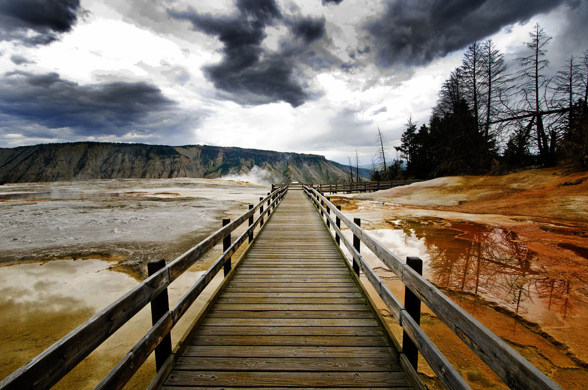 Bridge
